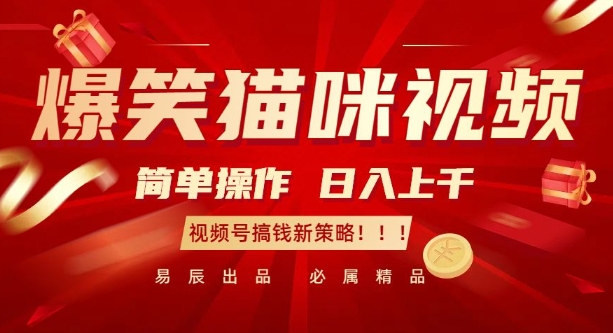 爆笑猫咪视频：简单操作，日入过K，视频号搞钱新策略【揭秘】-优创项目网