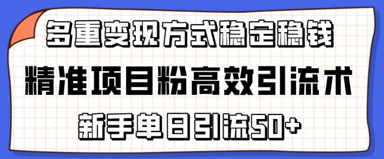 精准项目粉高效引流术，新手单日引流50+，多重变现方式稳定赚钱【揭秘】-优创项目网