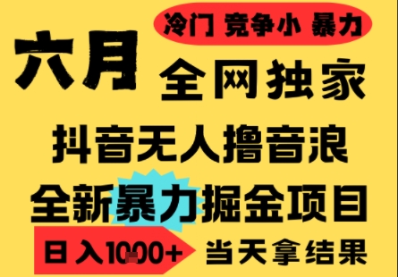 25年6月高爆抖音无人直播最新撸音浪掘金项目，小白可做，无脑日入1k+，门槛低可批量矩阵【揭秘】-优创项目网