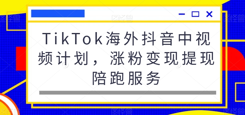 TikTok海外抖音中视频计划，涨粉变现提现陪跑服务-优创项目网