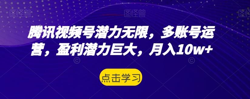 腾讯视频号潜力无限，多账号运营，盈利潜力巨大，月入10w+-优创项目网