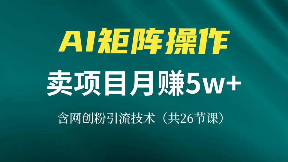 网创IP打造课，借助AI卖项目月赚5万+，含引流技术(共26节课-优创项目网