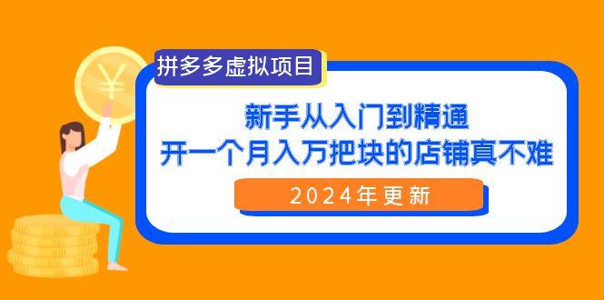 (9744期)拼多多虚拟项目：入门到精通，开一个月入万把块的店铺 真不难(24年更新)-优创项目网