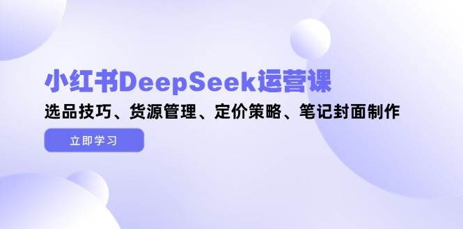 小红书DeepSeek运营课，选品技巧、货源管理、定价策略、笔记封面制作-优创项目网