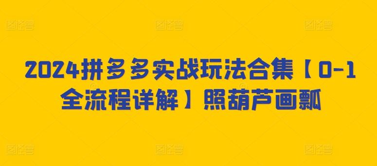 2024拼多多实战玩法合集【0-1全流程详解】照葫芦画瓢-优创项目网