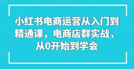 小红书电商运营从入门到精通课，电商店群实战，从0开始到学会-优创项目网