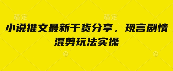 小说推文最新干货分享，现言剧情混剪玩法实操-优创项目网