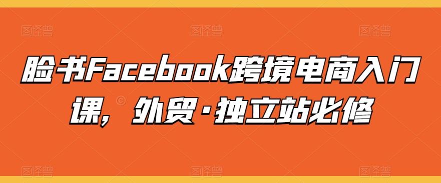 脸书Facebook跨境电商入门课，外贸·独立站必修-优创项目网