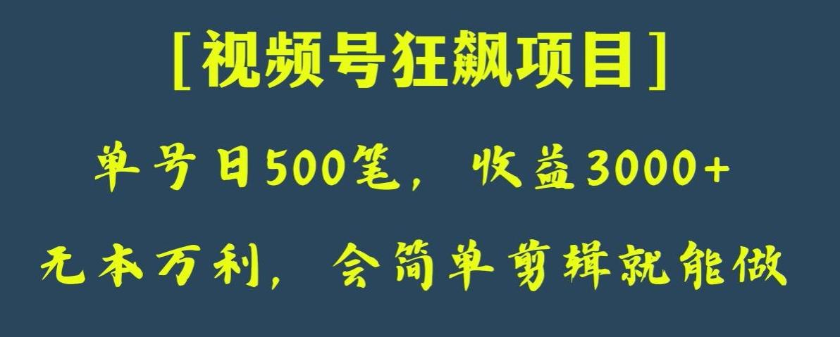 日收款500笔，纯利润3000+，视频号狂飙项目，会简单剪辑就能做【揭秘】-优创项目网