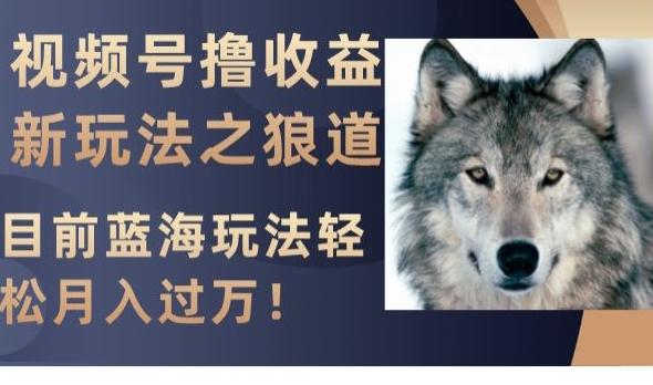 视频号撸收益新玩法之狼道，目前蓝海玩法，轻松月入过万【揭秘】-优创项目网