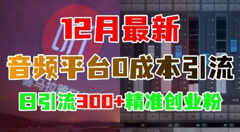 12月最新：音频平台0成本引流，日引流300+精准创业粉-优创项目网