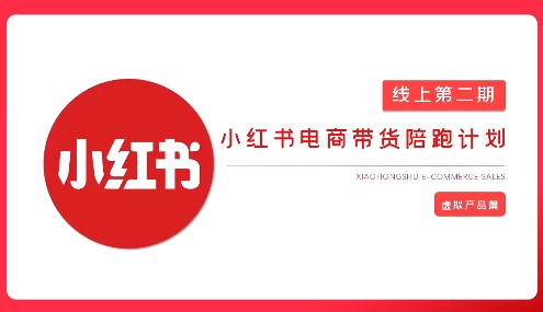 2025小红书虚拟电商实战课，从0到1打造无货源店铺，AI+爆款笔记轻松变现-优创项目网