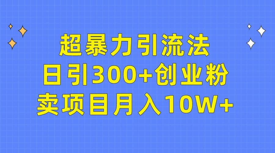 (9954期)超暴力引流法，日引300+创业粉，卖项目月入10W+-优创项目网