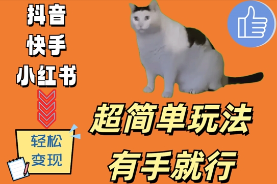 超简单玩法，有手就行，靠猫咪视频日入500+【揭秘】-优创项目网