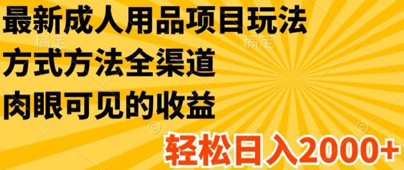 最新成人用品项目玩法，方式方法全渠道，轻松日入2K+【揭秘】-优创项目网
