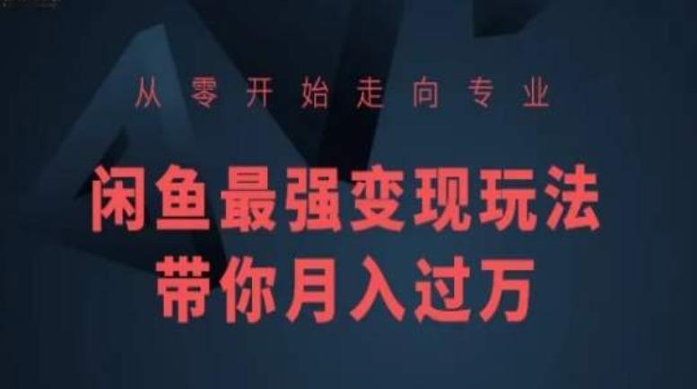 从零开始走向专业，闲鱼最强变现玩法带你月入过万-优创项目网