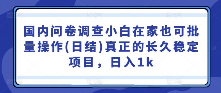 国内问卷调查小白在家也可批量操作(日结)真正的长久稳定项目，日入1k【揭秘】-优创项目网