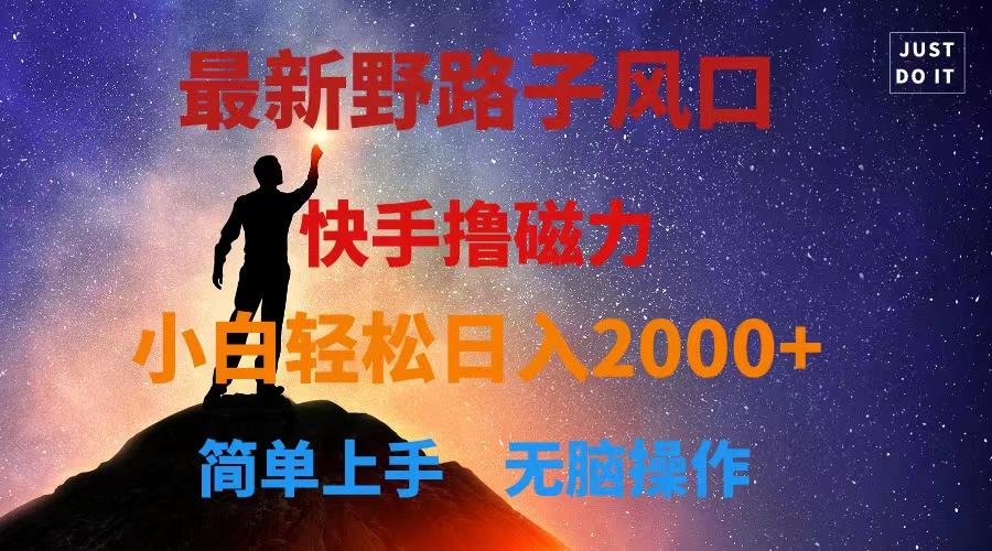 最新风口！快手撸磁力，野路子，小白无脑操作日入2000+-优创项目网