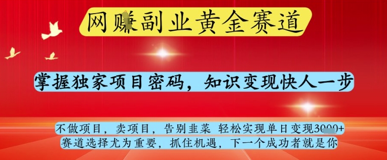 网创副业黄全赛道，掌握独家项目密码，知识变现快人一步，告别韭菜轻松实现单日变现1k+【揭秘】-优创项目网