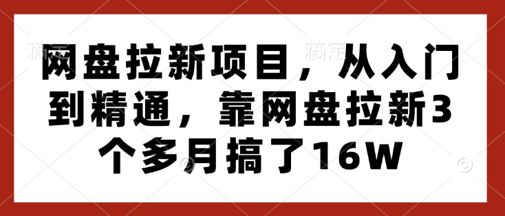 网盘拉新项目，从入门到精通，靠网盘拉新3个多月搞了16W-优创项目网