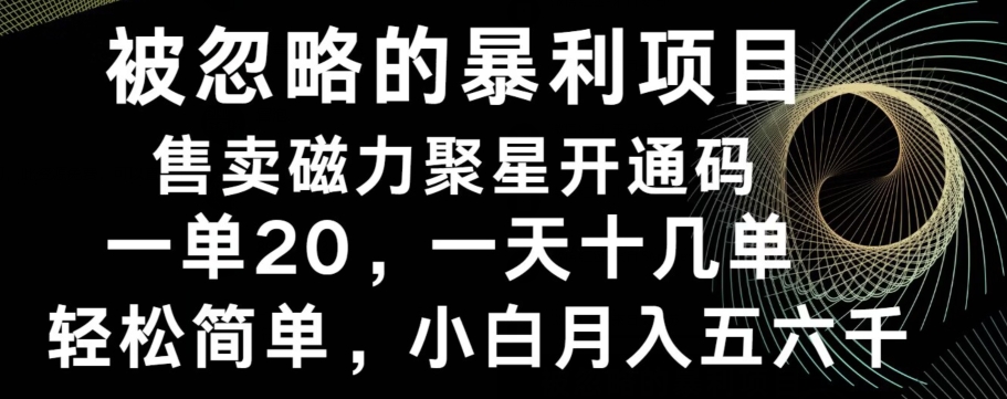 被忽略的暴利项目！售卖磁力聚星开通码，一单20，一天十几单，轻松月入五六千-优创项目网