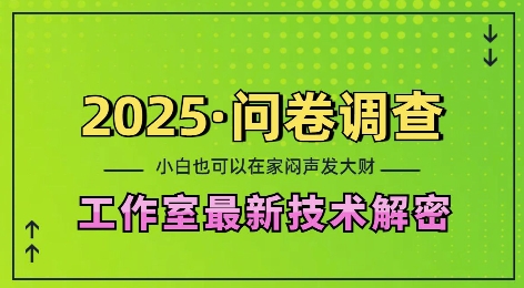 2025问卷调查最新工作室技术解密：一个人在家也可以闷声发大财，小白一天2张，可矩阵放大【揭秘】-优创项目网
