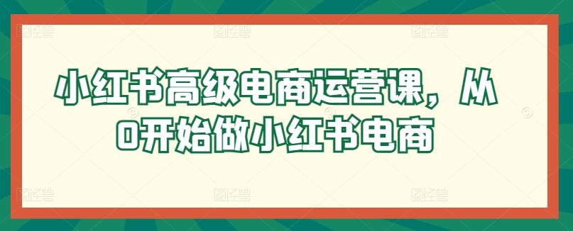小红书高级电商运营课，从0开始做小红书电商-优创项目网