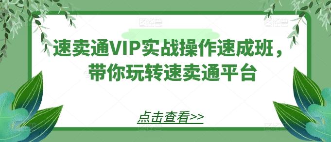 速卖通VIP实战操作速成班，带你玩转速卖通平台-优创项目网