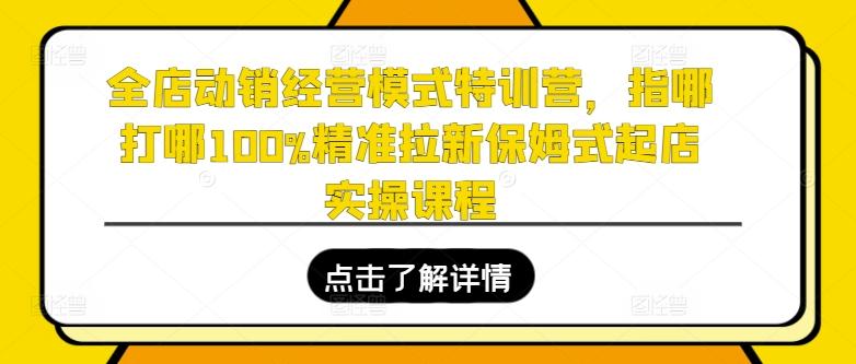 全店动销经营模式特训营，指哪打哪100%精准拉新保姆式起店实操课程-优创项目网