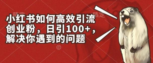 小红书如何高效引流创业粉，日引100+，解决你遇到的问题【揭秘】-优创项目网