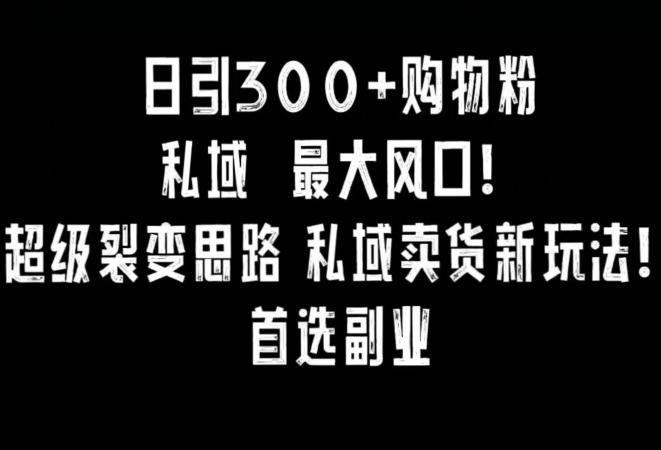 日引300+购物粉，超级裂变思路，私域卖货新玩法，小红书首选副业【揭秘】-优创项目网