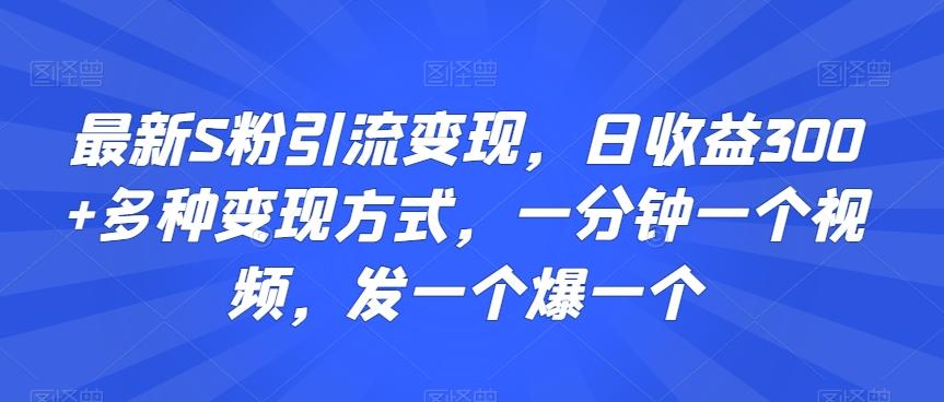最新S粉引流变现，日收益300+多种变现方式，一分钟一个视频，发一个爆一个【揭秘】-优创项目网