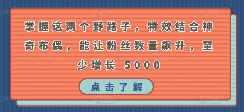 掌握这两个野路子，特效结合神奇布偶，能让粉丝数量飙升，至少增长 5000【揭秘】-优创项目网