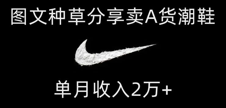 靠图文种草分享卖A货潮鞋，每天一小时，单月收入2万+【揭秘】-优创项目网