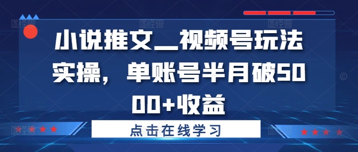 小说推文—视频号玩法实操，单账号半月破5000+收益-优创项目网