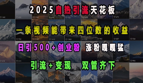 2025自热引流天花板，一条视频能带来四位数的收益，引流+变现双管齐下，日引500+创业粉，涨粉嘎嘎猛-优创项目网