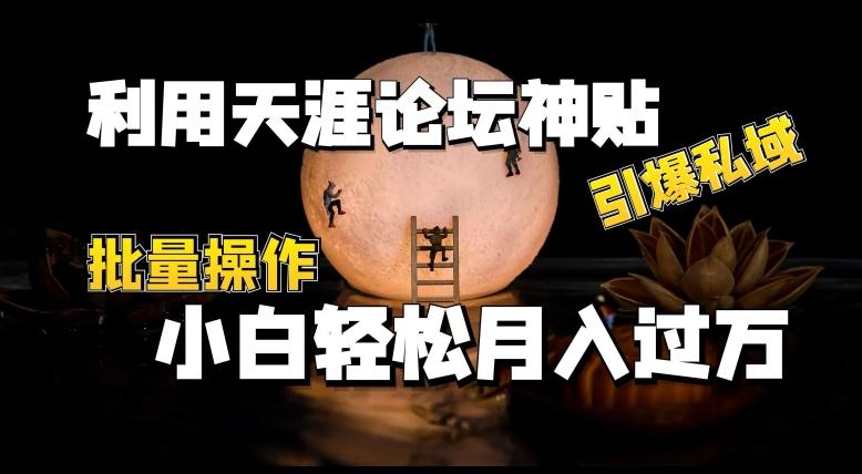 利用天涯论坛神贴，引爆私域，批量操作，小白轻松月入过w【揭秘】-优创项目网