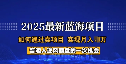 2025蓝海项目，普通人如何通过卖项目，实现月入过W，全过程【揭秘】-优创项目网