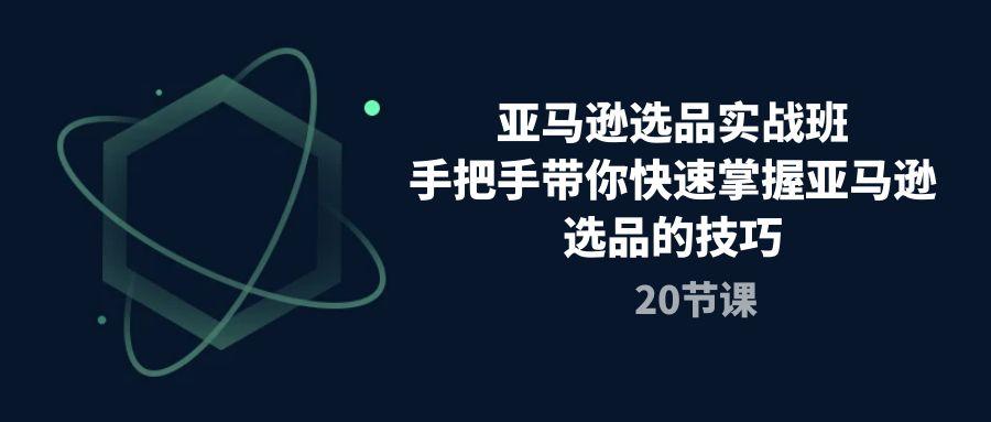 亚马逊选品实战班，手把手带你快速掌握亚马逊选品的技巧(20节课-优创项目网