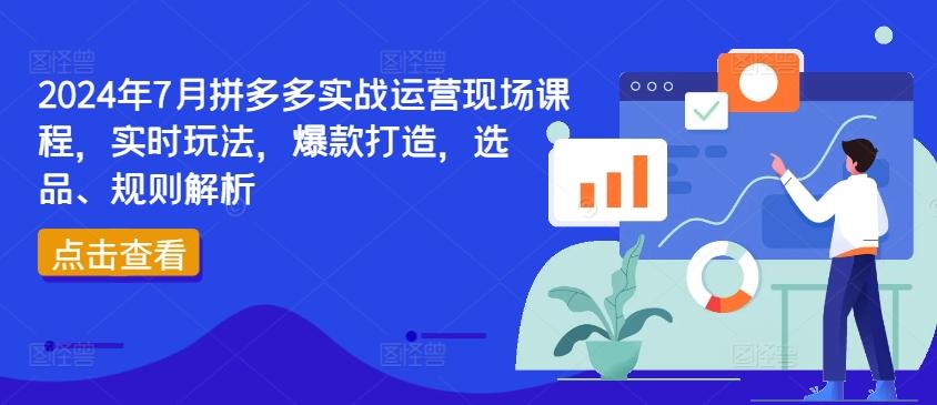 2024年7月拼多多实战运营现场课程，实时玩法，爆款打造，选品、规则解析-优创项目网