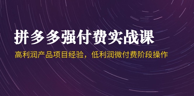 拼多多强付费实战课-44期，高利润产品项目经验，低利润微付费阶段操作-优创项目网