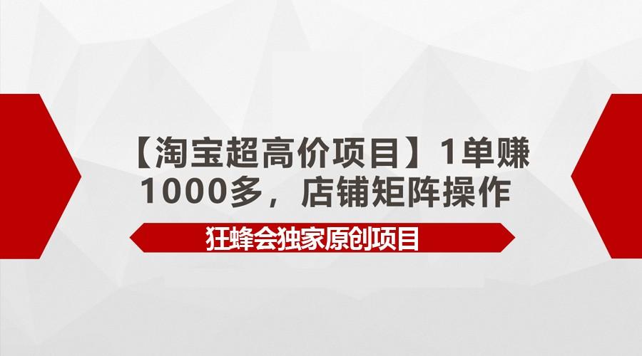 【淘宝超高价项目】1单赚1000多，店铺矩阵操作-优创项目网