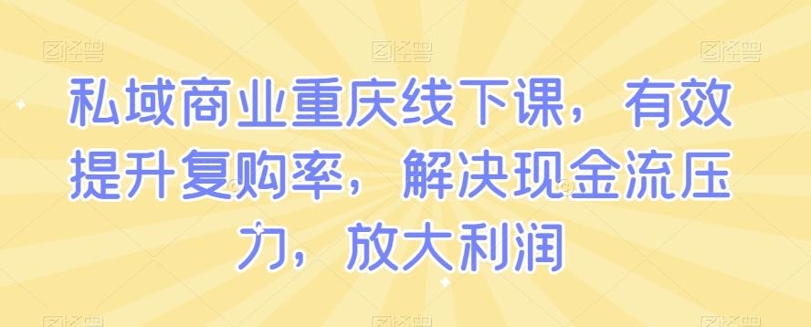 私域商业重庆线下课，有效提升复购率，解决现金流压力，放大利润-优创项目网