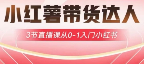 小红薯达人带货启航计划，3节直播课从0-1入门小红书-优创项目网