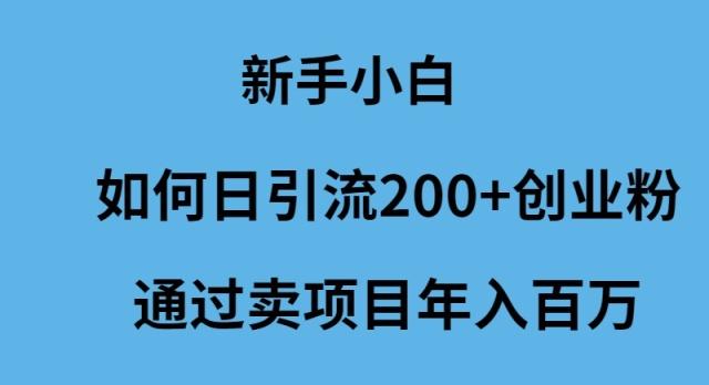 (9668期)新手小白如何日引流200+创业粉通过卖项目年入百万-优创项目网