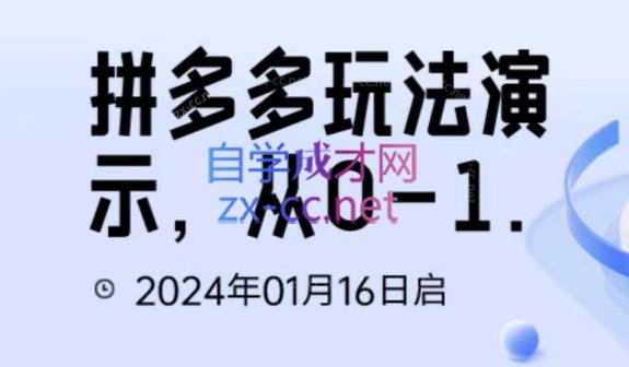 吴老师·拼多多从选品到截流到付费的玩法技巧-优创项目网