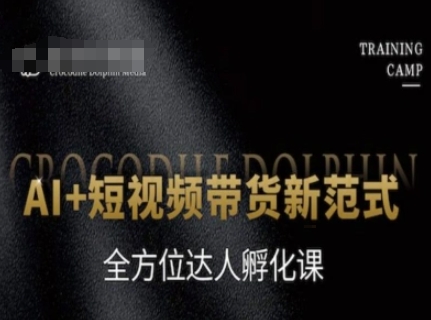 AI+短视频带货新范式，全方位达人孵化课-优创项目网