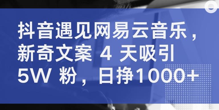 抖音遇见网易云音乐，新奇文案 4 天吸引 5W 粉，日挣1000+【揭秘】-优创项目网