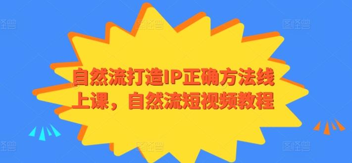 自然流打造IP正确方法线上课，自然流短视频教程-优创项目网