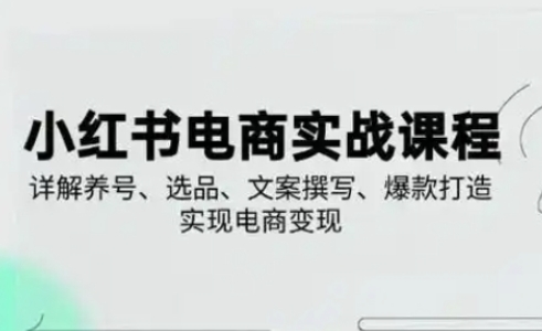 小红书从0-1实操课(2023-2025)，详解养号、选品、文案撰写、爆款打造实现电商变现-优创项目网